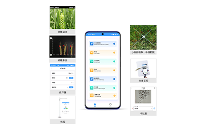 九江市小麦表型检测仪IN-XM04
