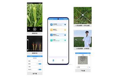 九江市小麦亩穗数分析仪IN-XM02